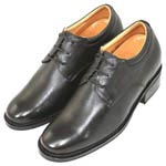 Formal Shoes169